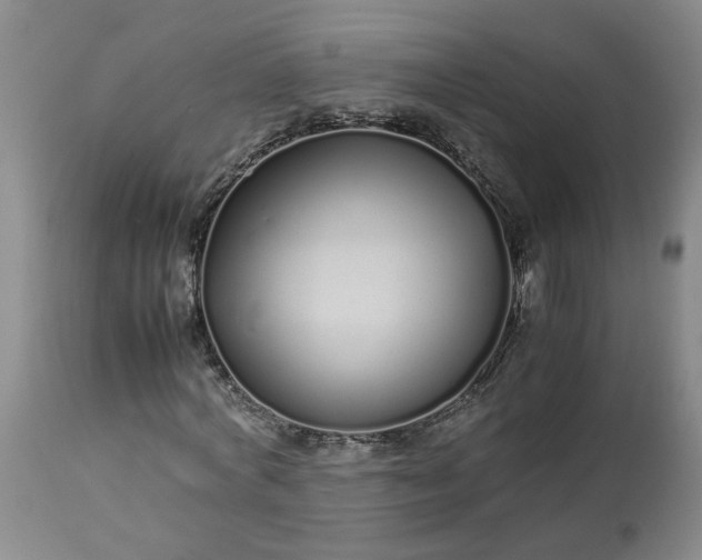 X0000113620772200910021827