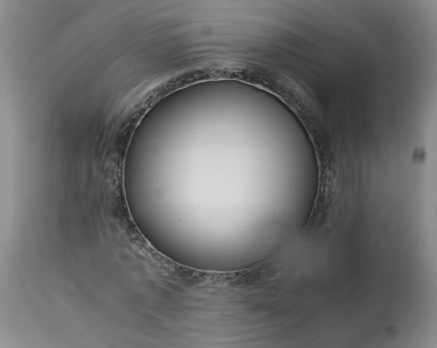 X0000113620773200910021827