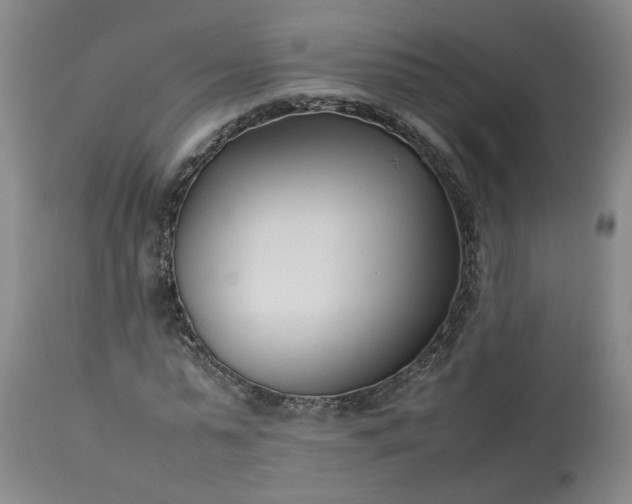 X0000113620775200910021827