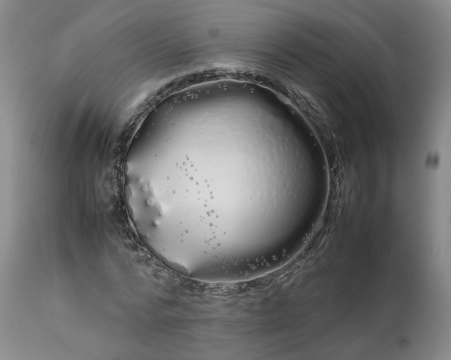 X0000113620776200910021827