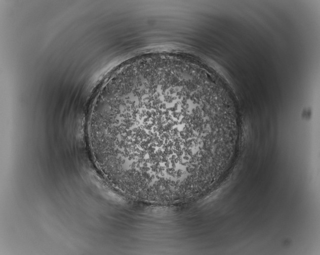 X0000113620778200910021827