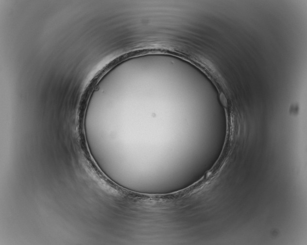 X0000113620780200910021827