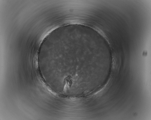 X0000113620782200910021827