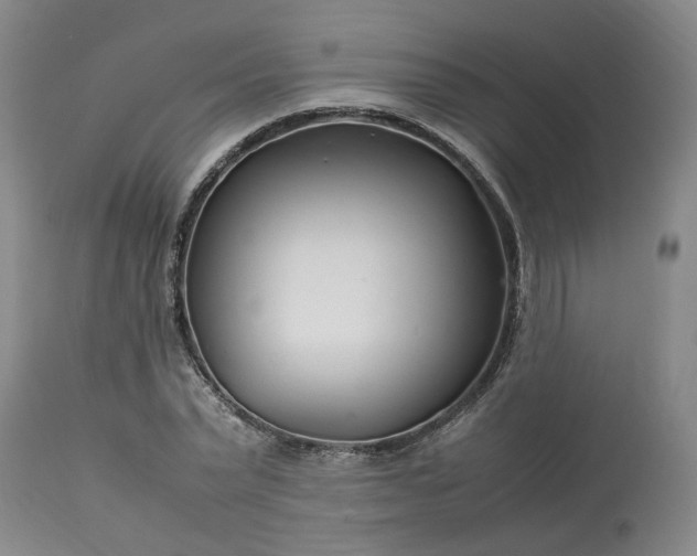 X0000113620783200910021827