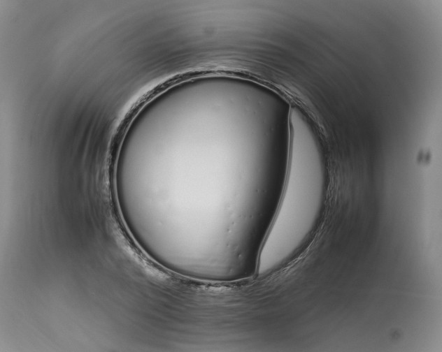 X0000113620784200910021827