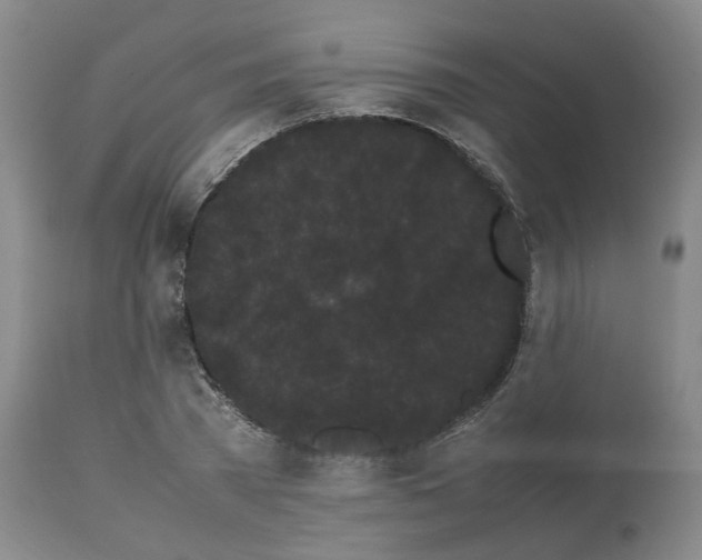 X0000113620785200910021827