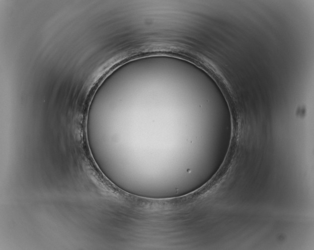 X0000113620786200910021827