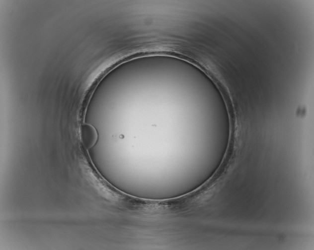 X0000113620789200910021827