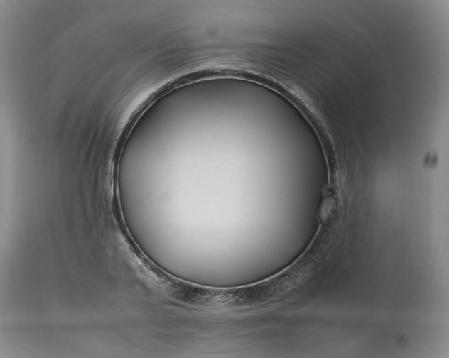 X0000113620791200910021827