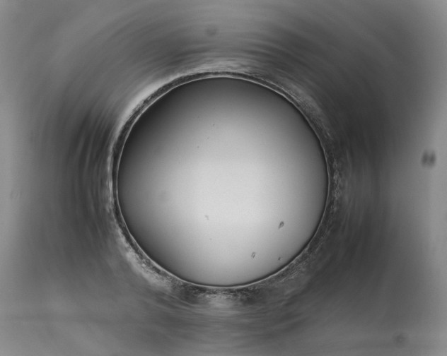 X0000113620792200910021827