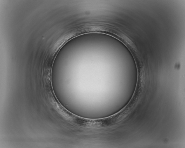 X0000113620793200910021827