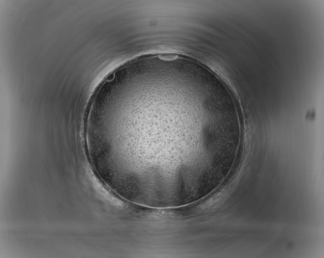 X0000113620797200910021827