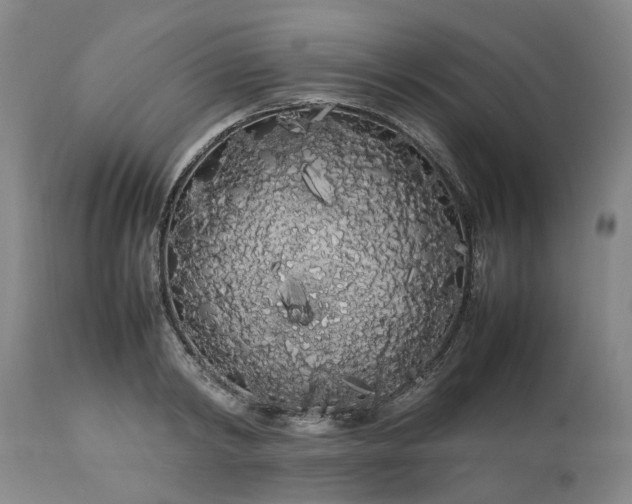 X0000113620798200910021827