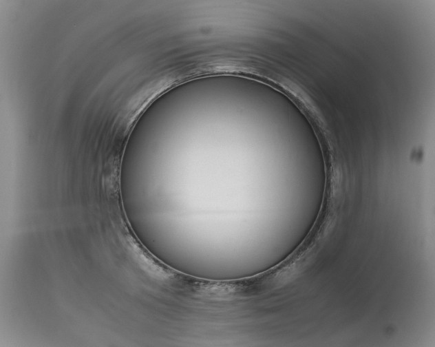 X0000113620801200910021827