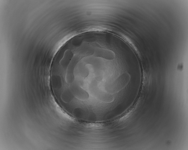 X0000113620802200910021827