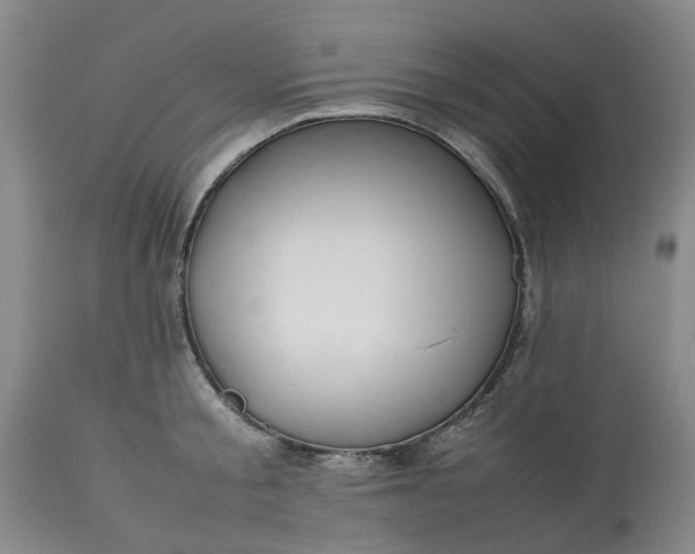 X0000113620805200910021826