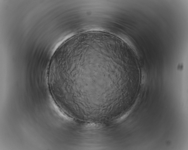 X0000113620806200910021826