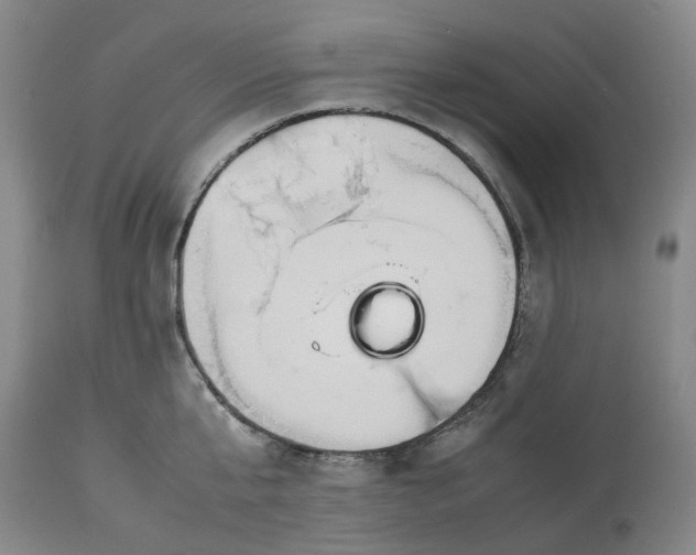 X0000113620807200910021826