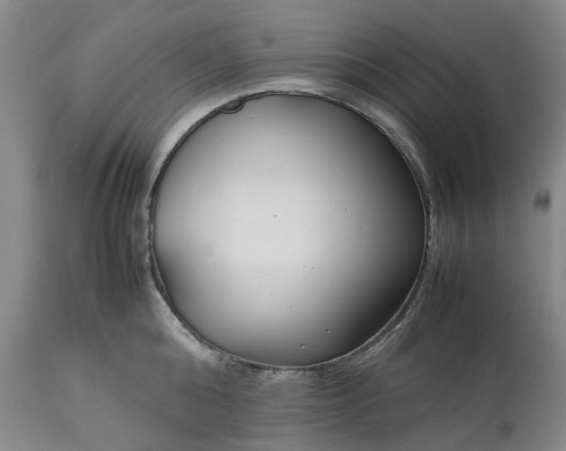 X0000113620808200910021826