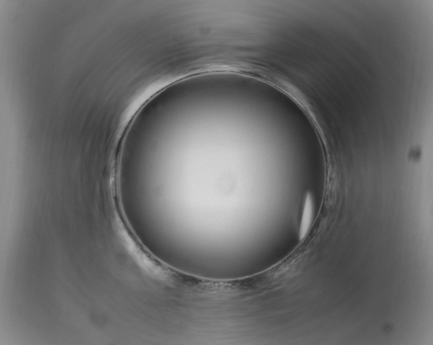 X0000113620811200910021826