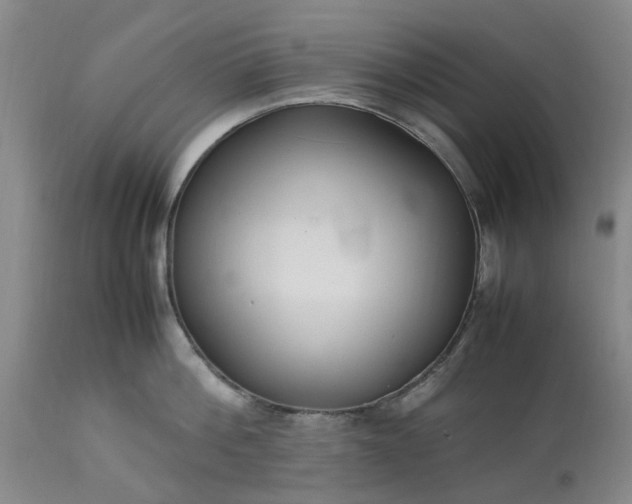 X0000113620812200910021826