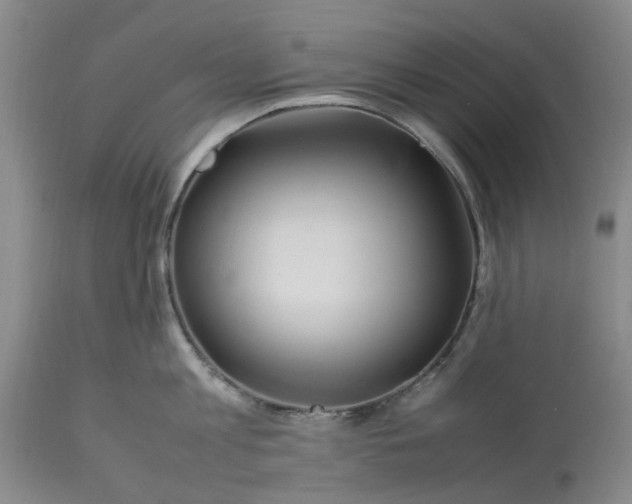 X0000113620813200910021826