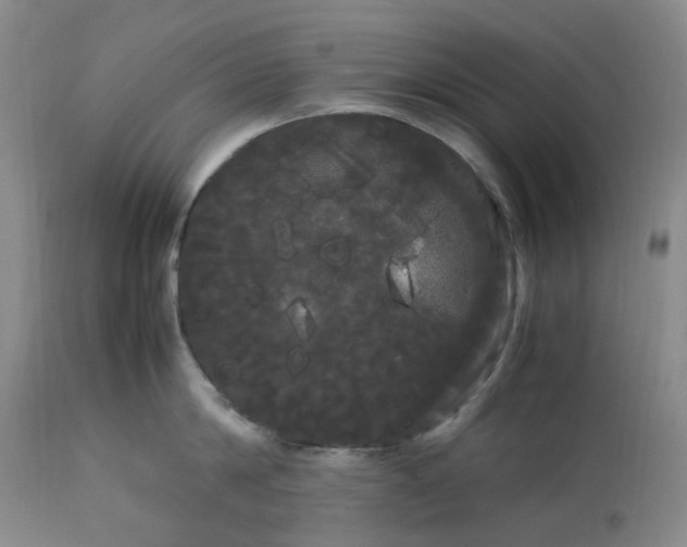 X0000113620814200910021826