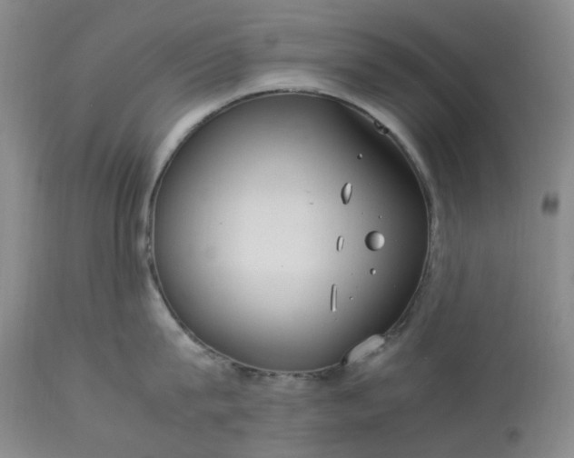 X0000113620815200910021826