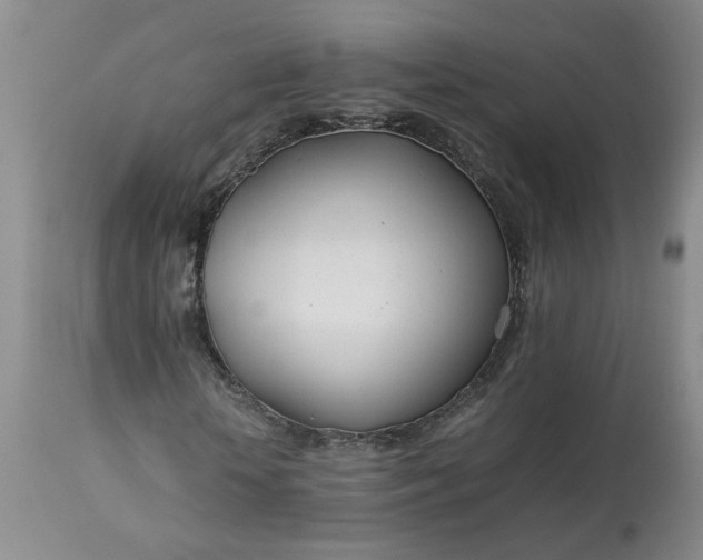 X0000113620818200910021825