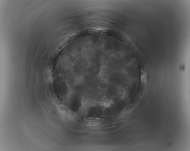 X0000113620819200910021826