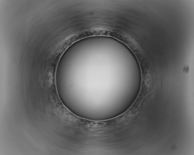 X0000113620821200910021826