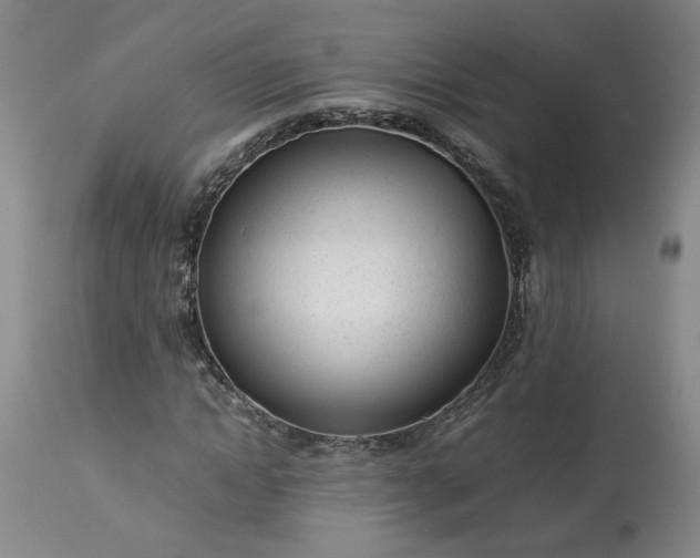 X0000113620822200910021826