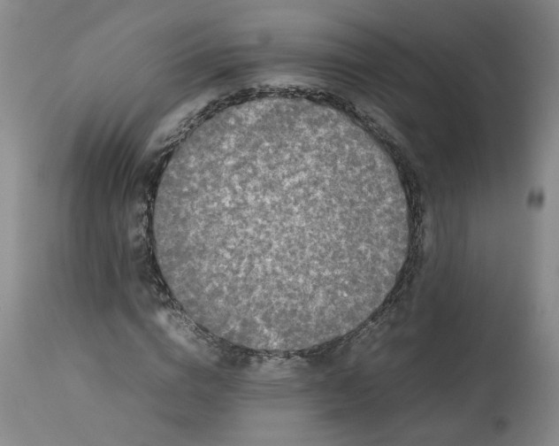 X0000113620824200910021826