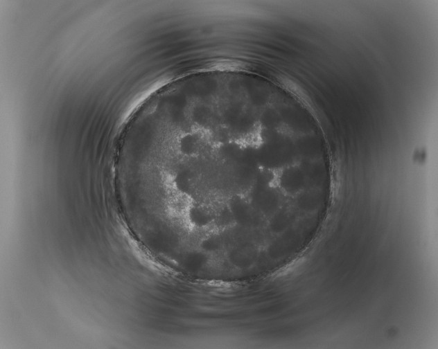 X0000113620827200910021826