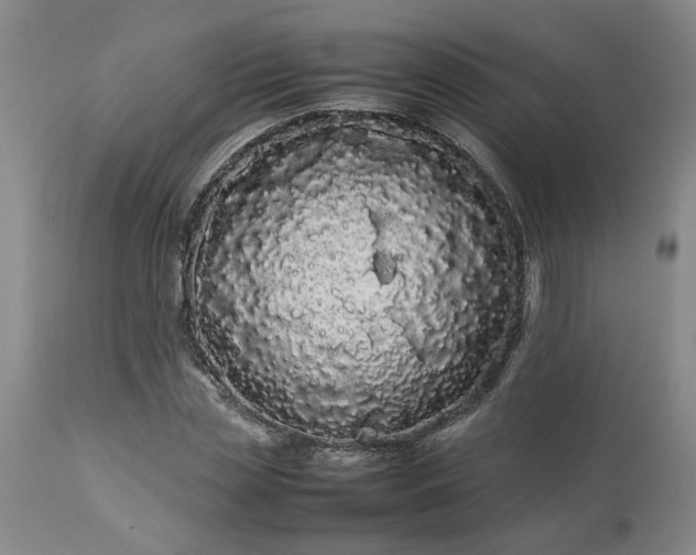 X0000113620829200910021826