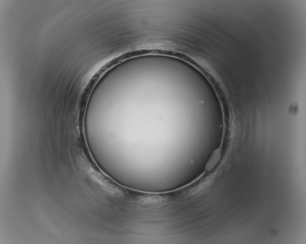 X0000113620830200910021826