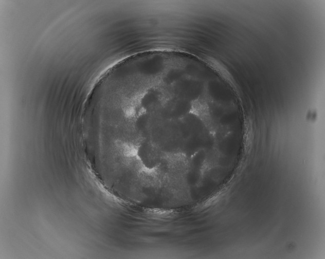 X0000113620831200910021826