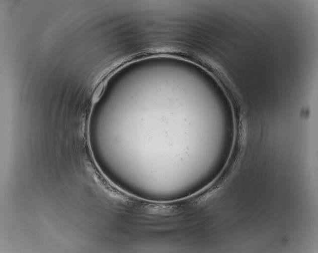 X0000113620833200910021826