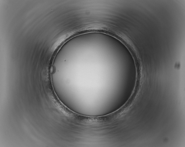 X0000113620834200910021826