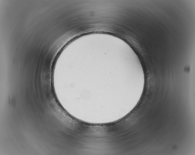 X0000113620836200910021826