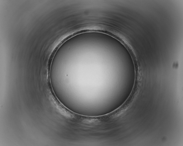 X0000113620837200910021826