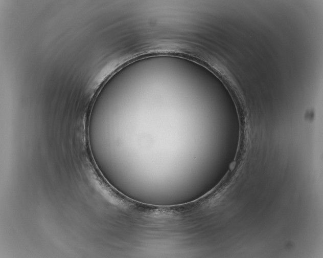 X0000113620842200910021826