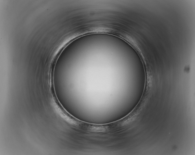 X0000113620843200910021826