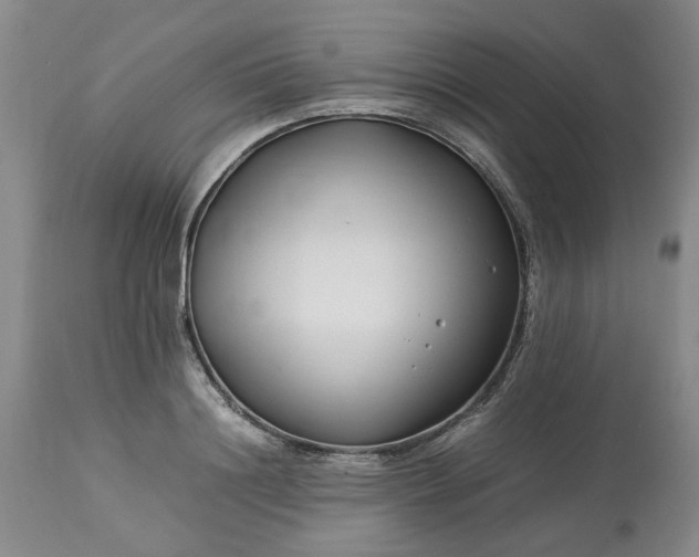 X0000113620844200910021826