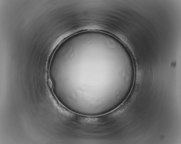 X0000113620845200910021826