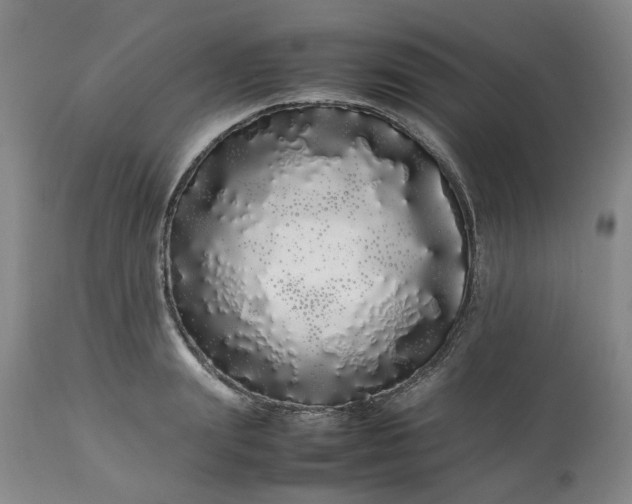 X0000113620847200910021826