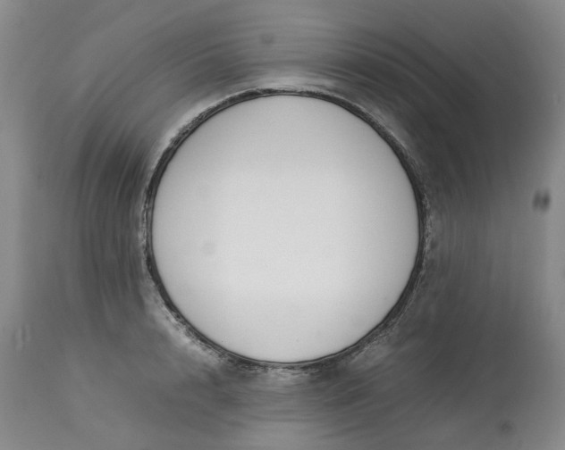 X0000113620848200910021826