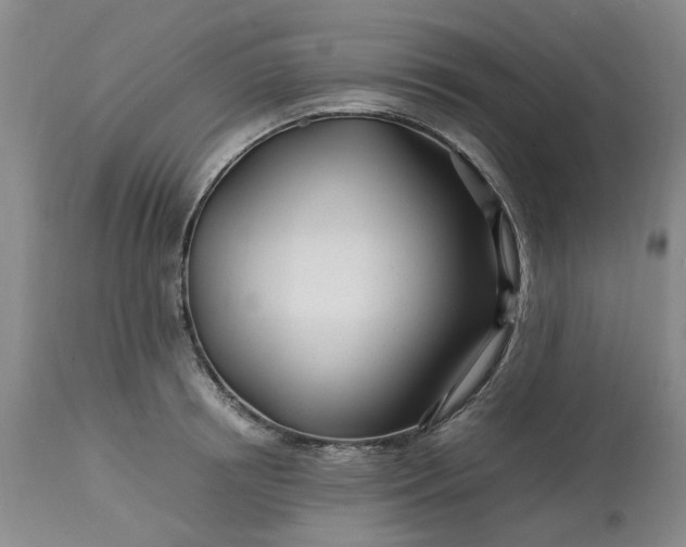 X0000113620850200910021826