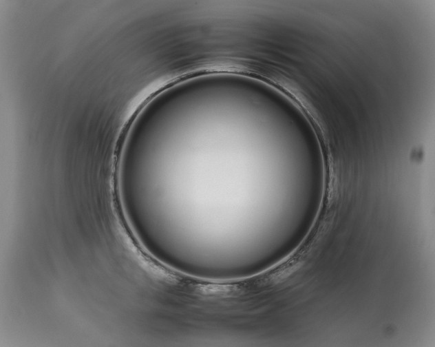 X0000113620853200910021826