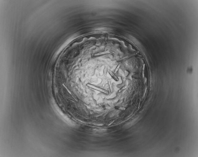 X0000113620859200910021826